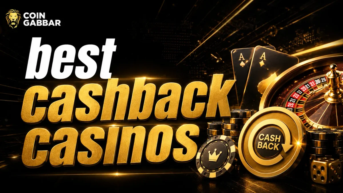 Daily Loss Rebate and Cashback Guide Automatic Calculation Rules